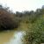 Jordanfluss bei Quassr'al Yahud.jpg