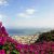 Haifa.jpg