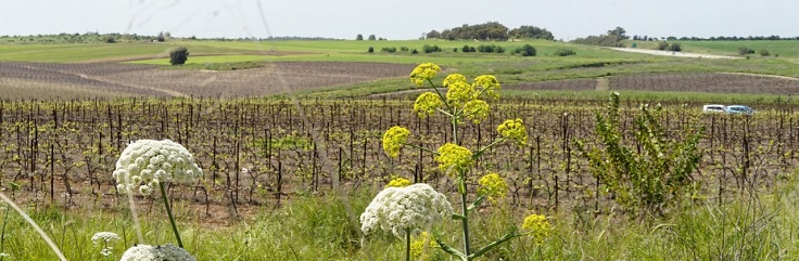 bild2_1.jpg